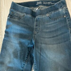 Pull on jegging jean